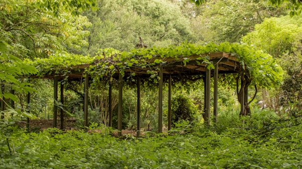 A beautifully crafted wooden pergola in a serene garden setting.