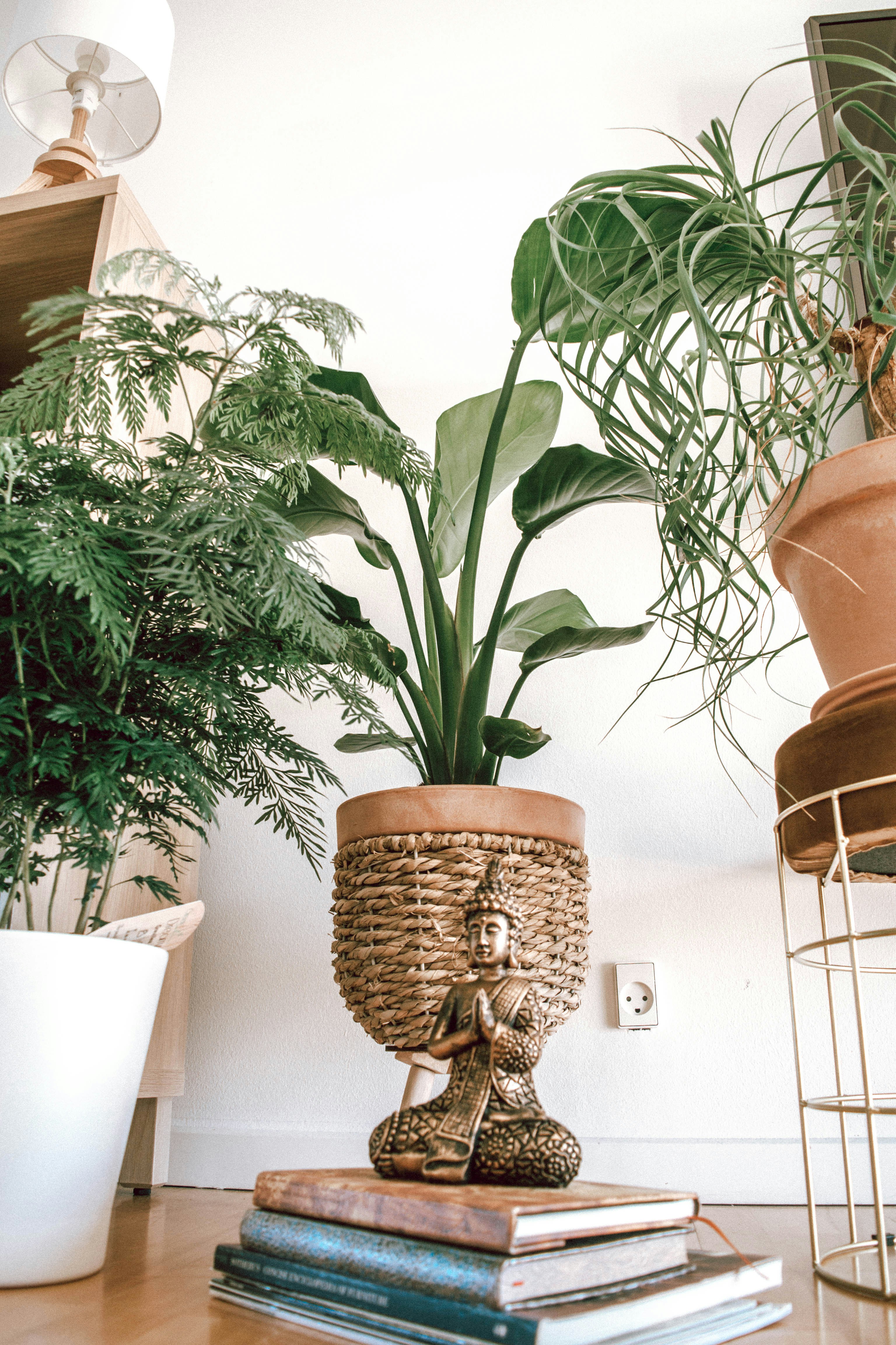 Book Your Meditation