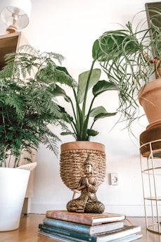 A cozy room corner features several potted plants, including a large woven planter with a lush green plant. A small statue of a meditative figure sits atop a stack of books on the floor. The light-colored wooden floor and a nearby table lamp add to the serene atmosphere.