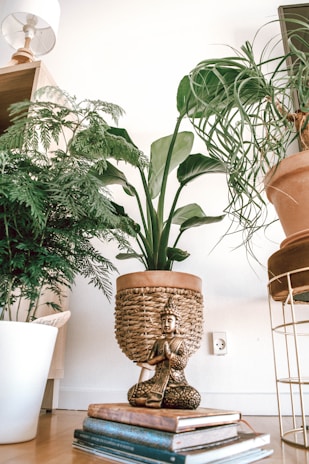 A serene meditation corner with soft cushions and plants.