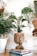 A cozy room corner features several potted plants, including a large woven planter with a lush green plant. A small statue of a meditative figure sits atop a stack of books on the floor. The light-colored wooden floor and a nearby table lamp add to the serene atmosphere.