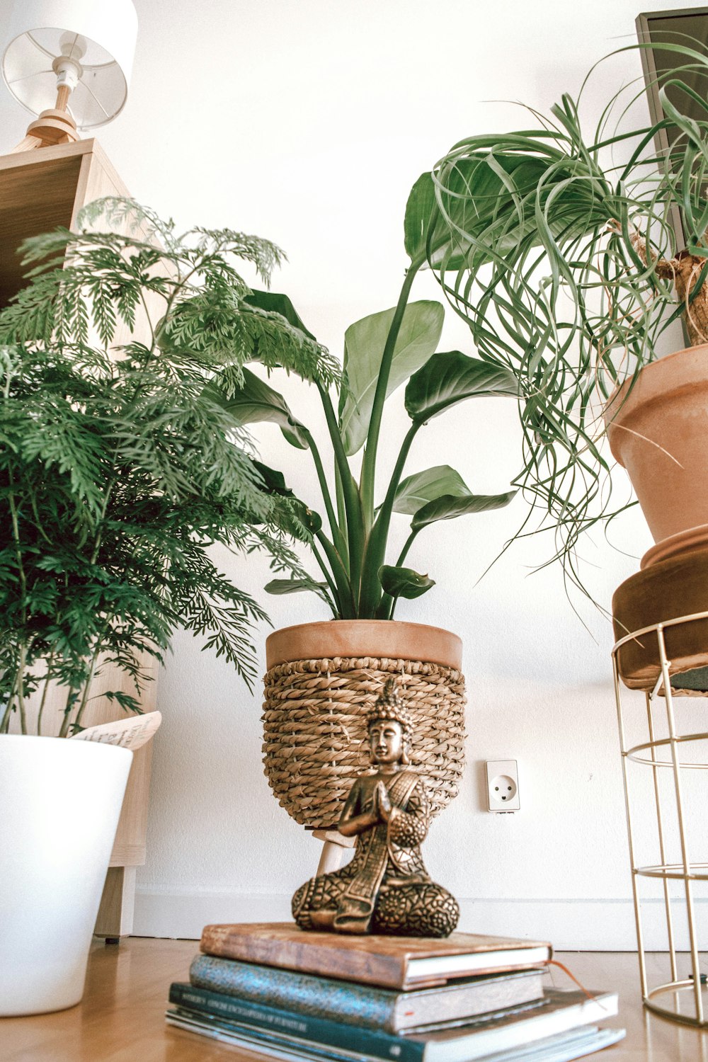 grüne Pflanze auf brauner Keramikvase