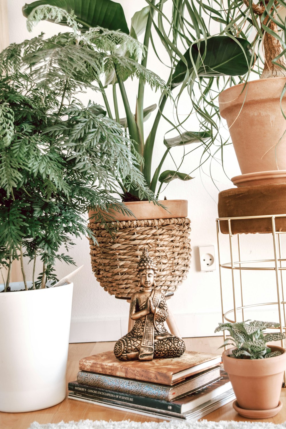 green plant on white ceramic pot