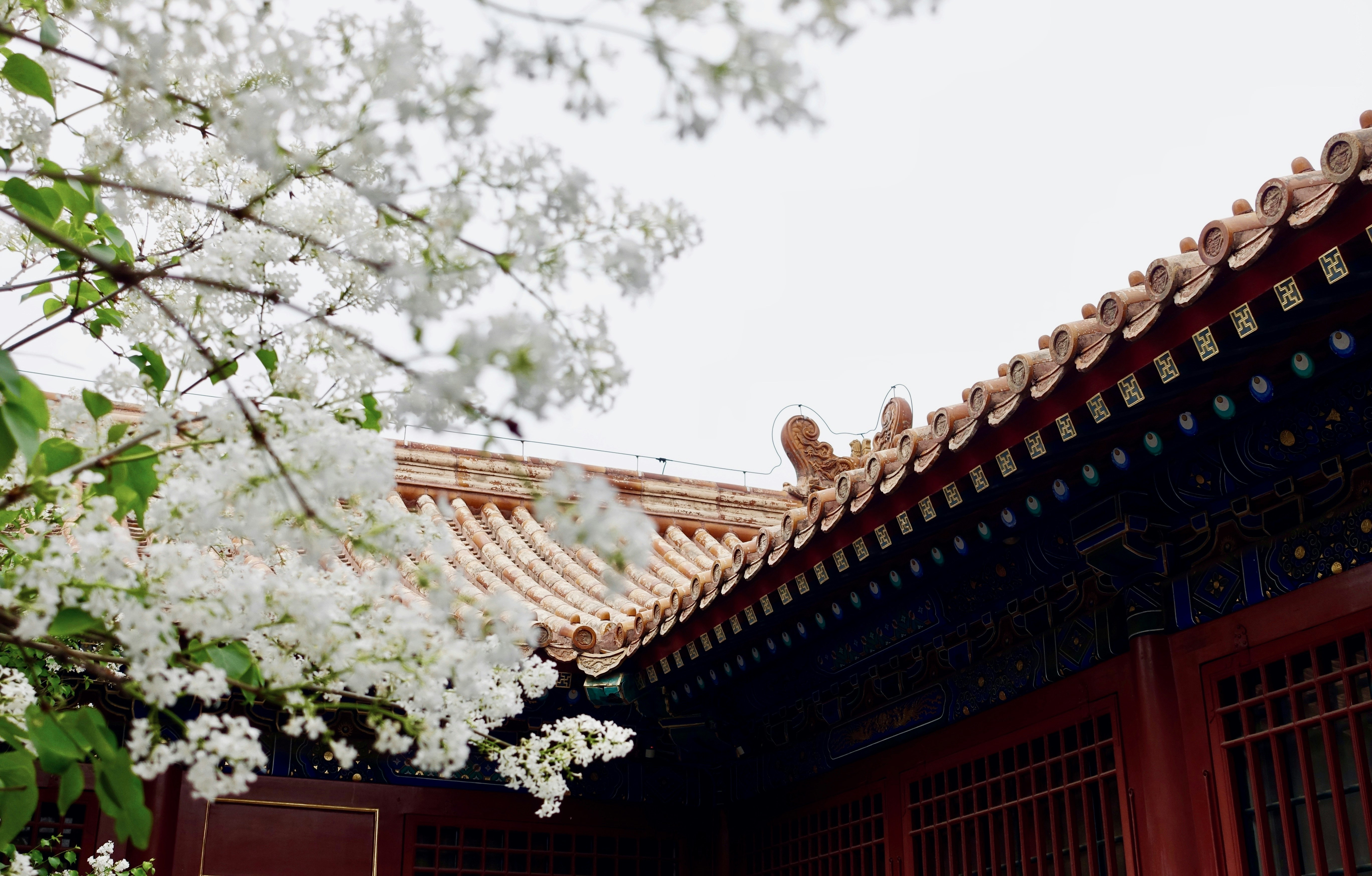 Photo by tommyskywalker