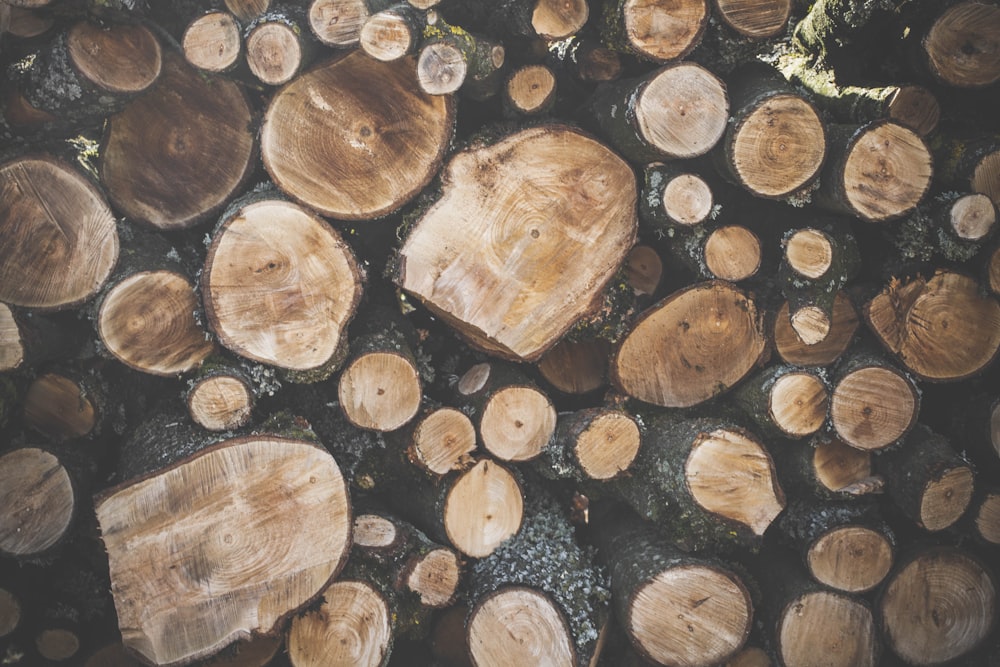 brown and black wood logs