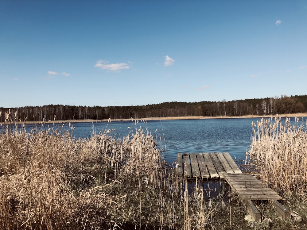 brown wooden dock on blue sea under blue sky during daytime