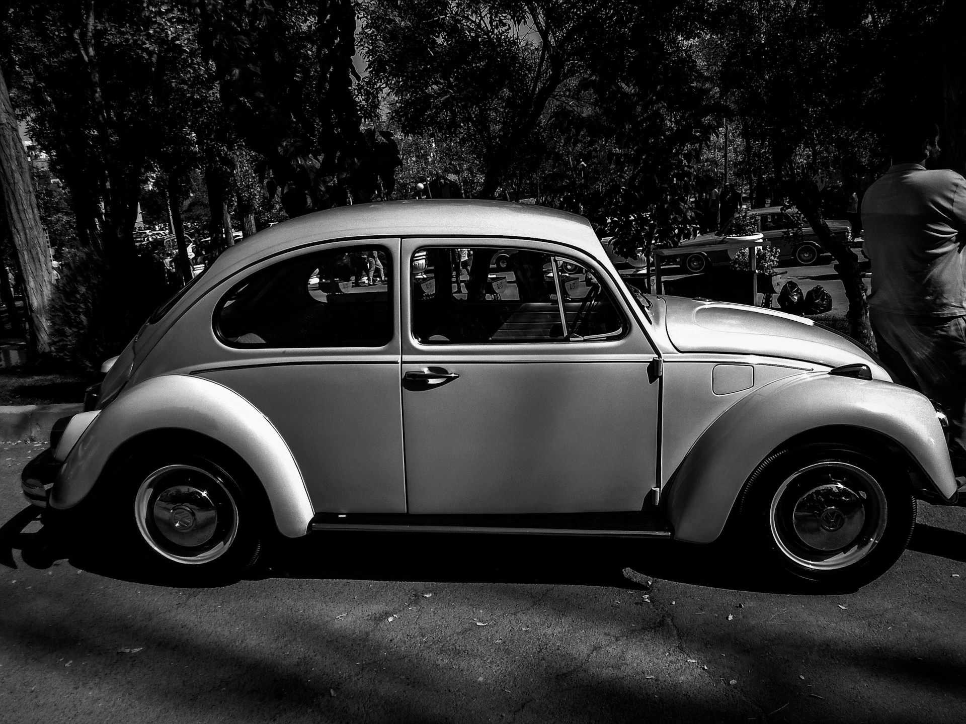 black and white bed linen