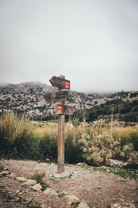 A wooden signpost stands amidst a natural landscape featuring grassy terrain and rocky mountains in the background. The sky is overcast with thick cloud cover, suggesting a cool and misty atmosphere. The signpost has red markings and directs towards different hiking paths, creating a sense of adventure and exploration.
