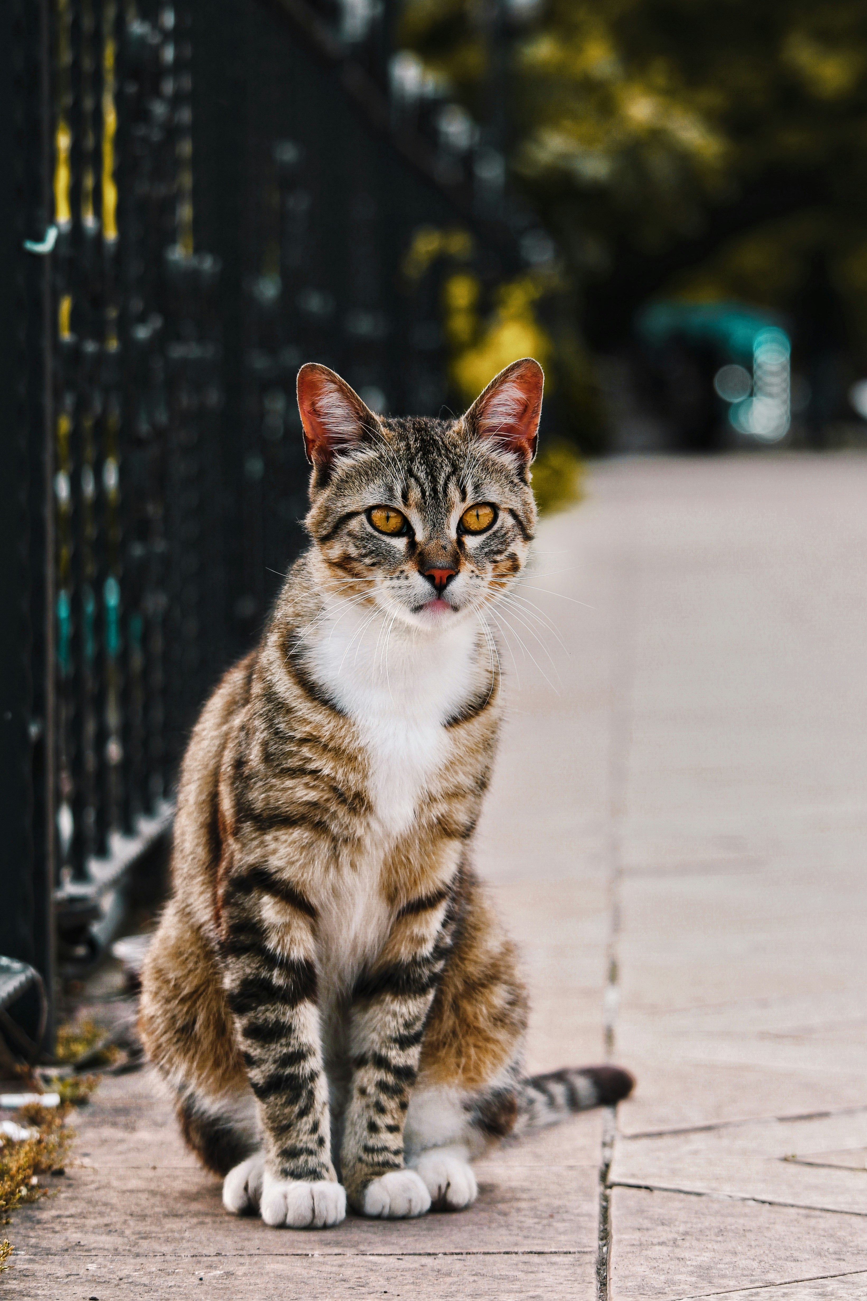 Photo by abdullahoguk