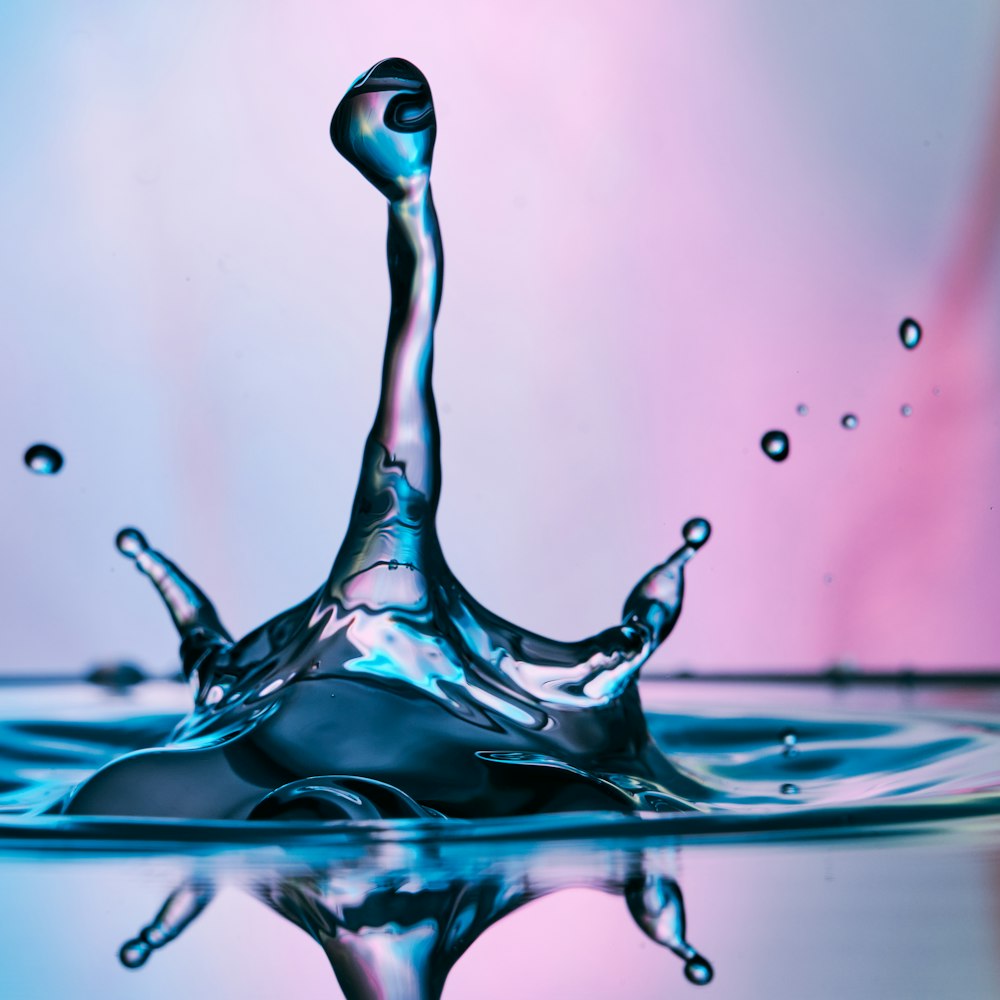 water drop in macro lens photography