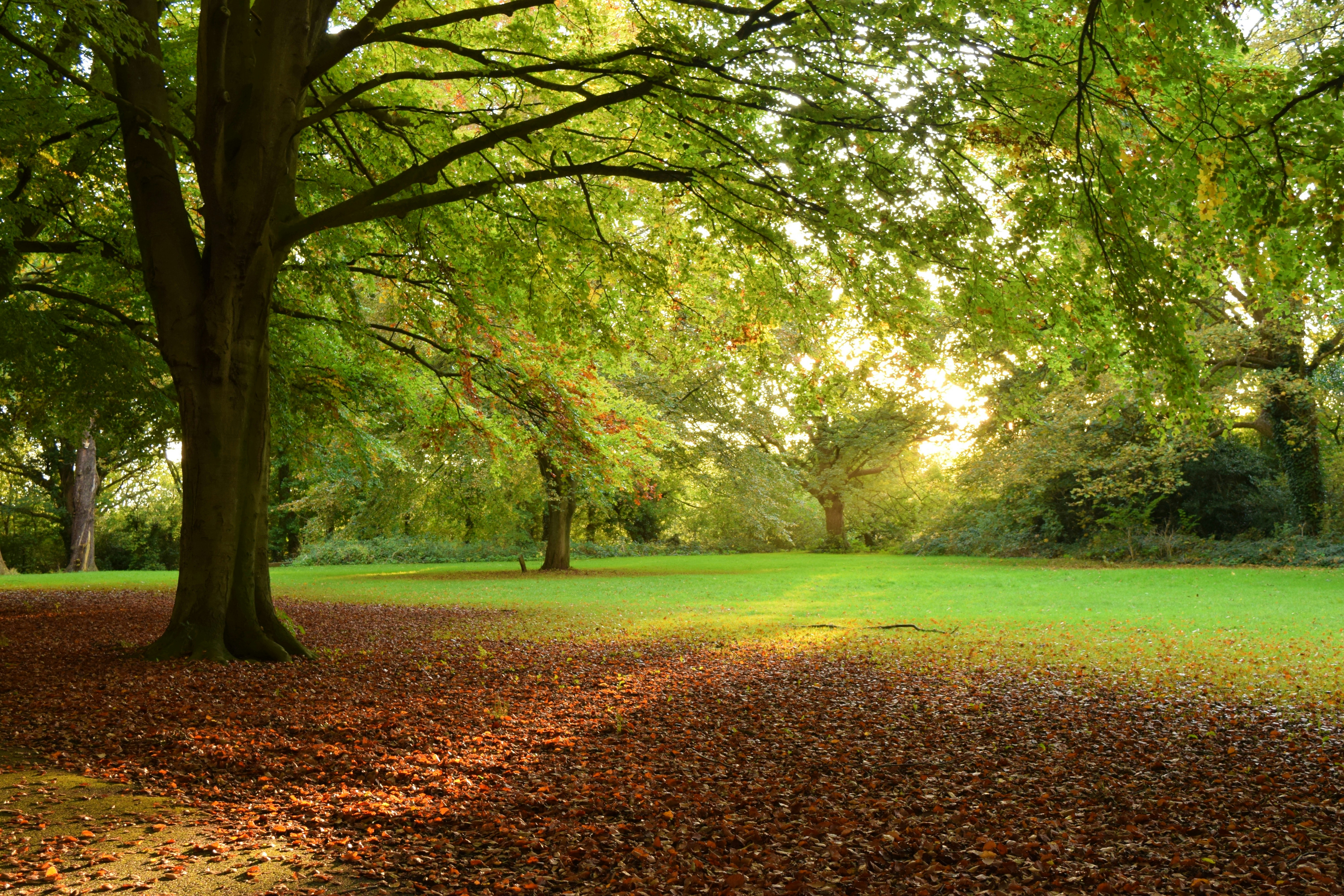 Photo by allisonh328