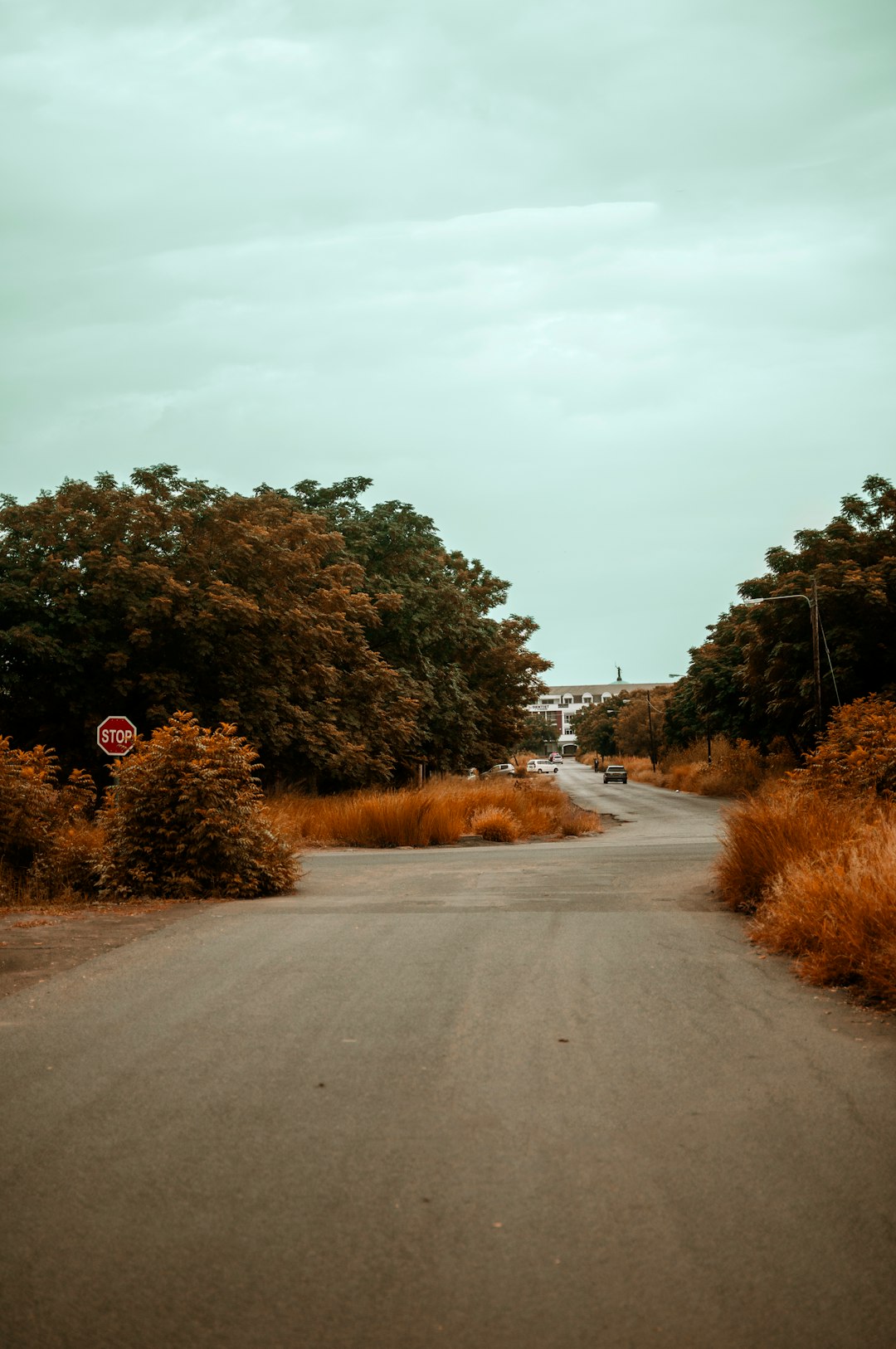 travelers stories about Ecoregion in Phase II Clinic, Botswana