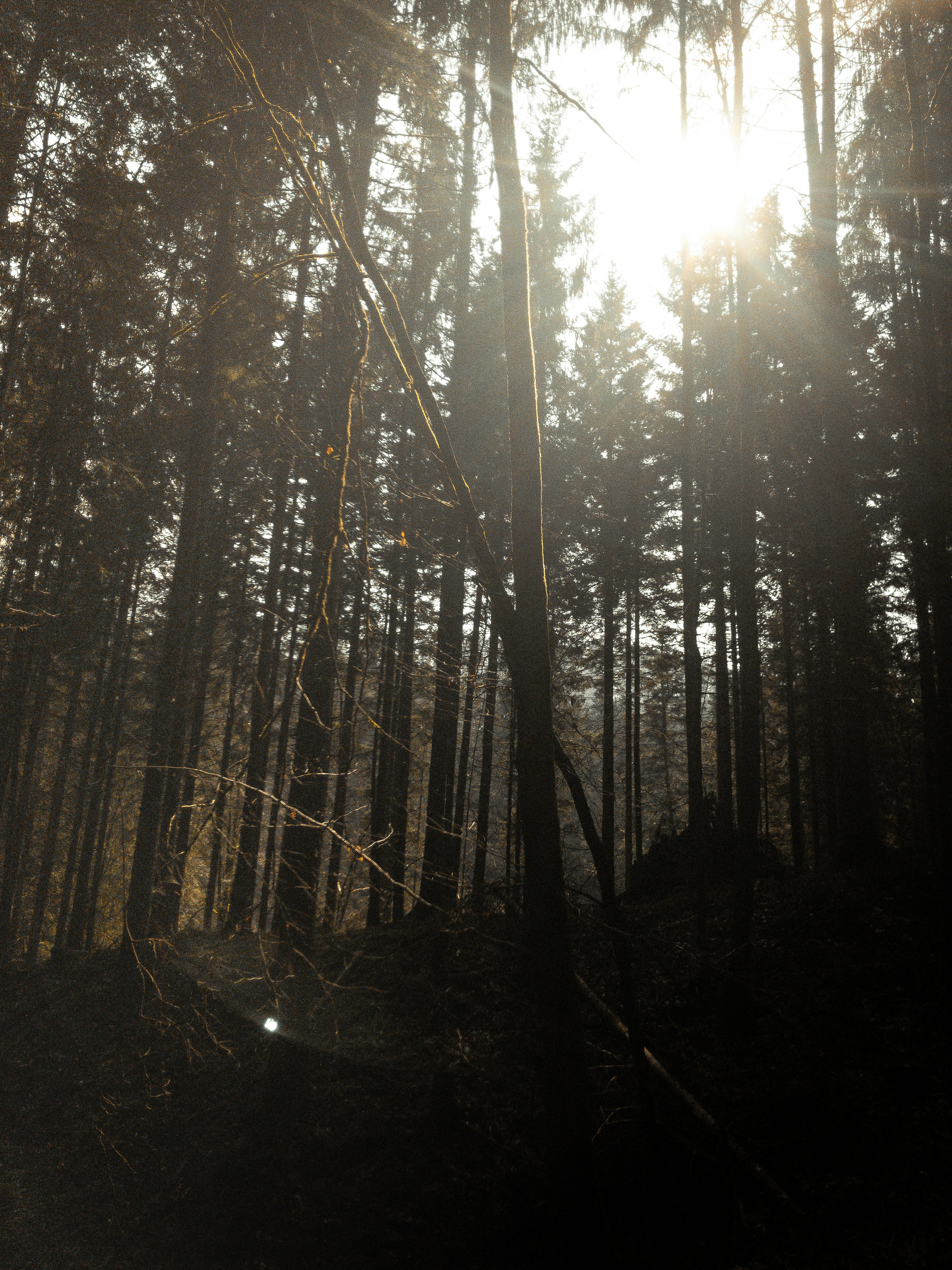 Photo by benjaminmerkle