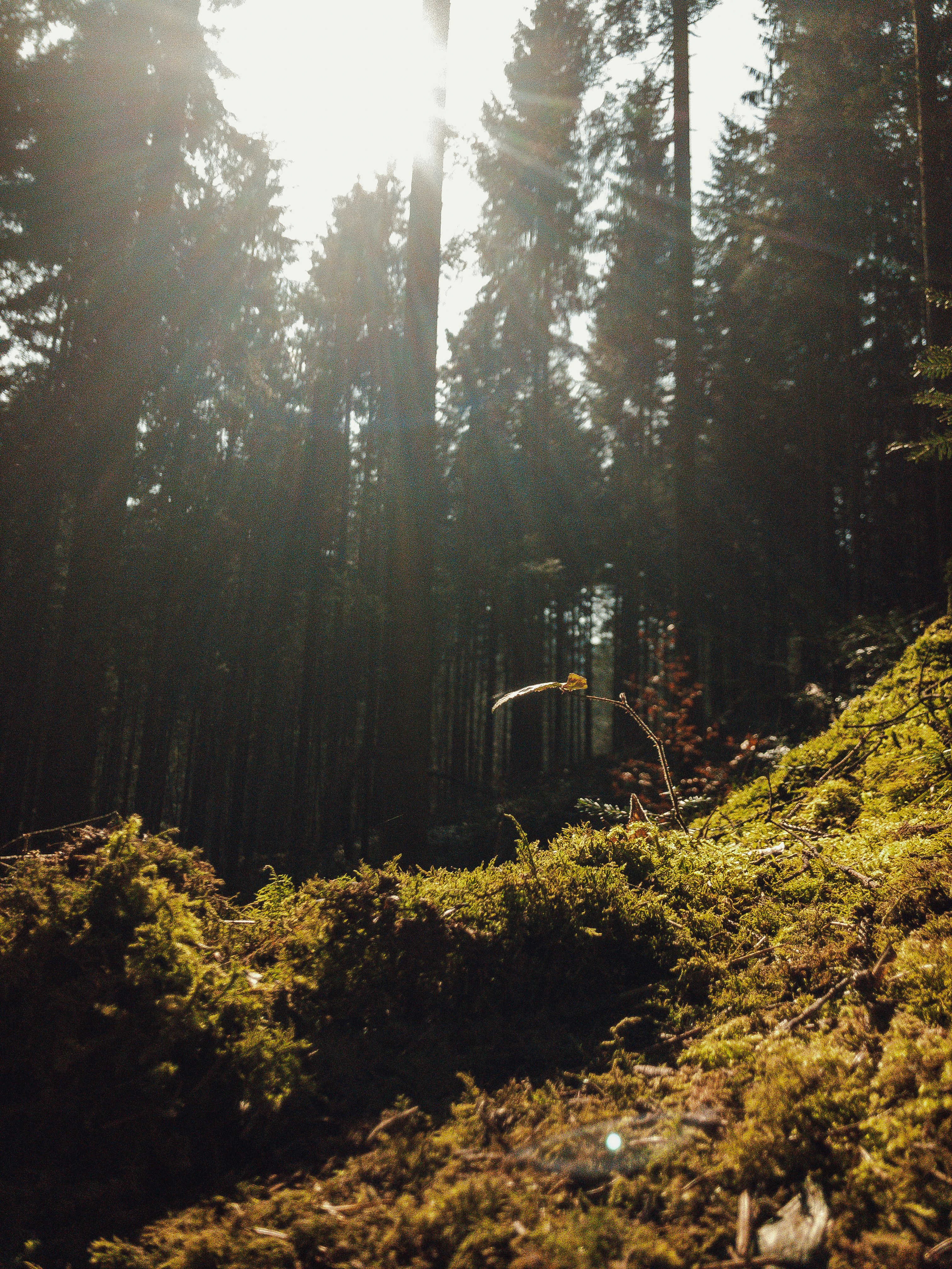 Photo by benjaminmerkle