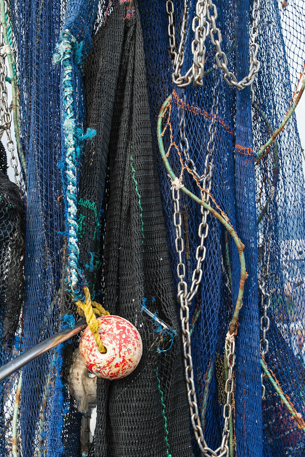 red and yellow round fruit on blue and white rope