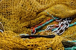 blue and red rope on brown dried leaves