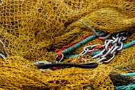 blue and red rope on brown dried leaves