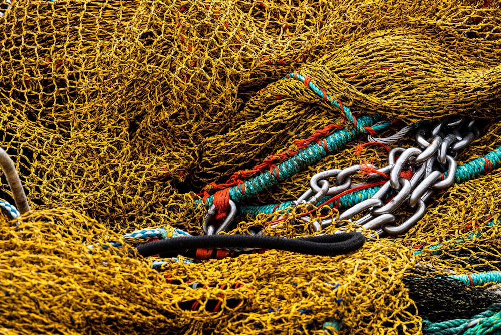 blue and red rope on brown dried leaves