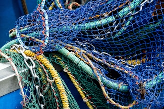 green and yellow rope on gray metal fence