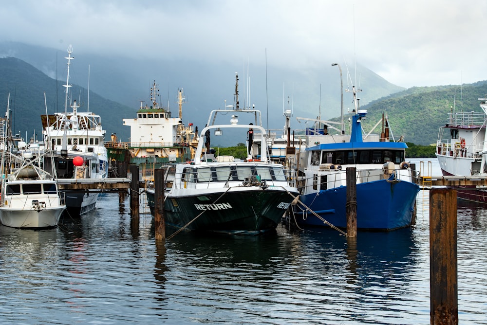 weißes und blaues Boot tagsüber auf dem Wasser