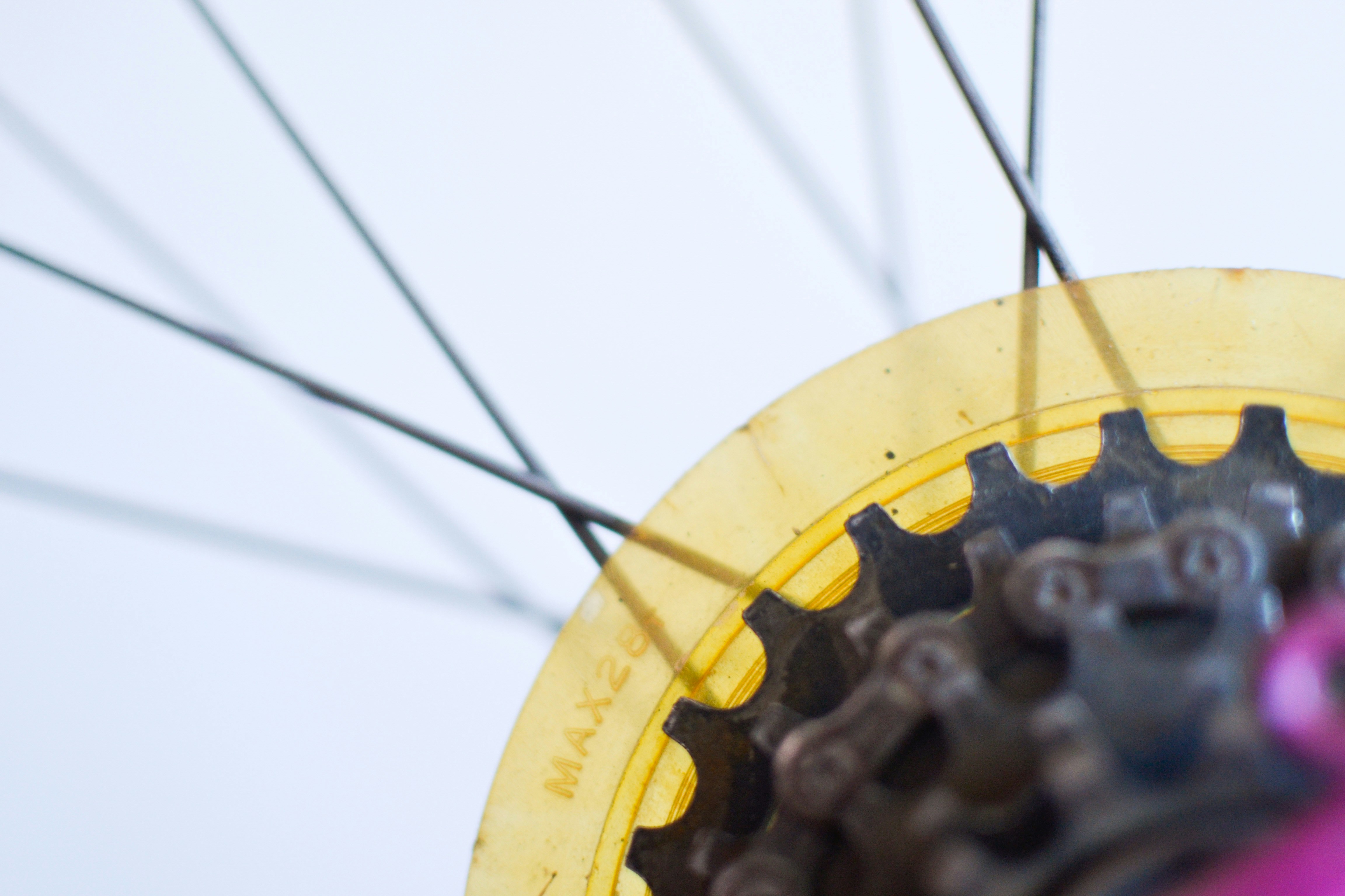 Photo by filipepujol