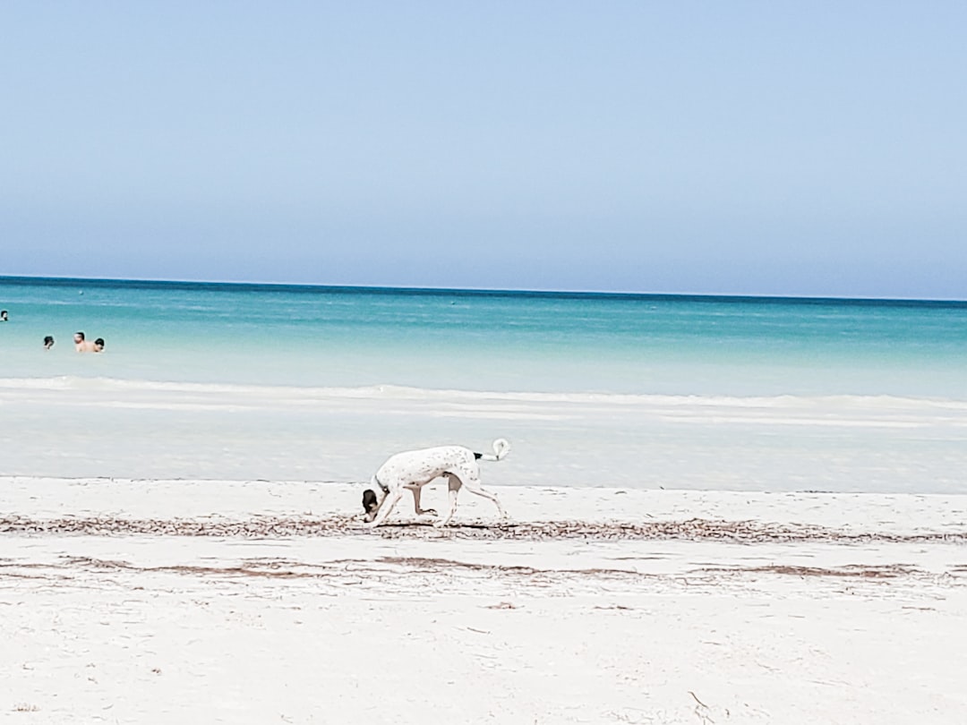 Beach photo spot Playa Holbox Quintana Roo