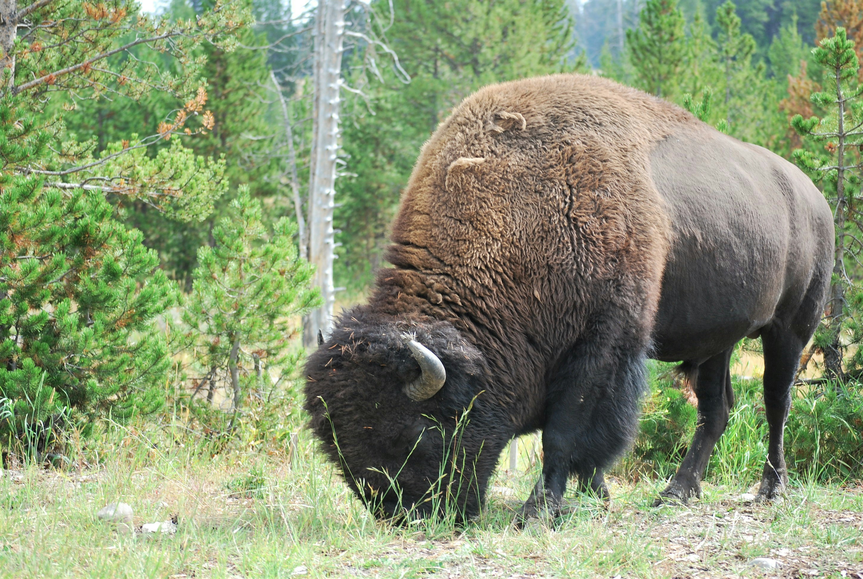 Photo by bandanagirl