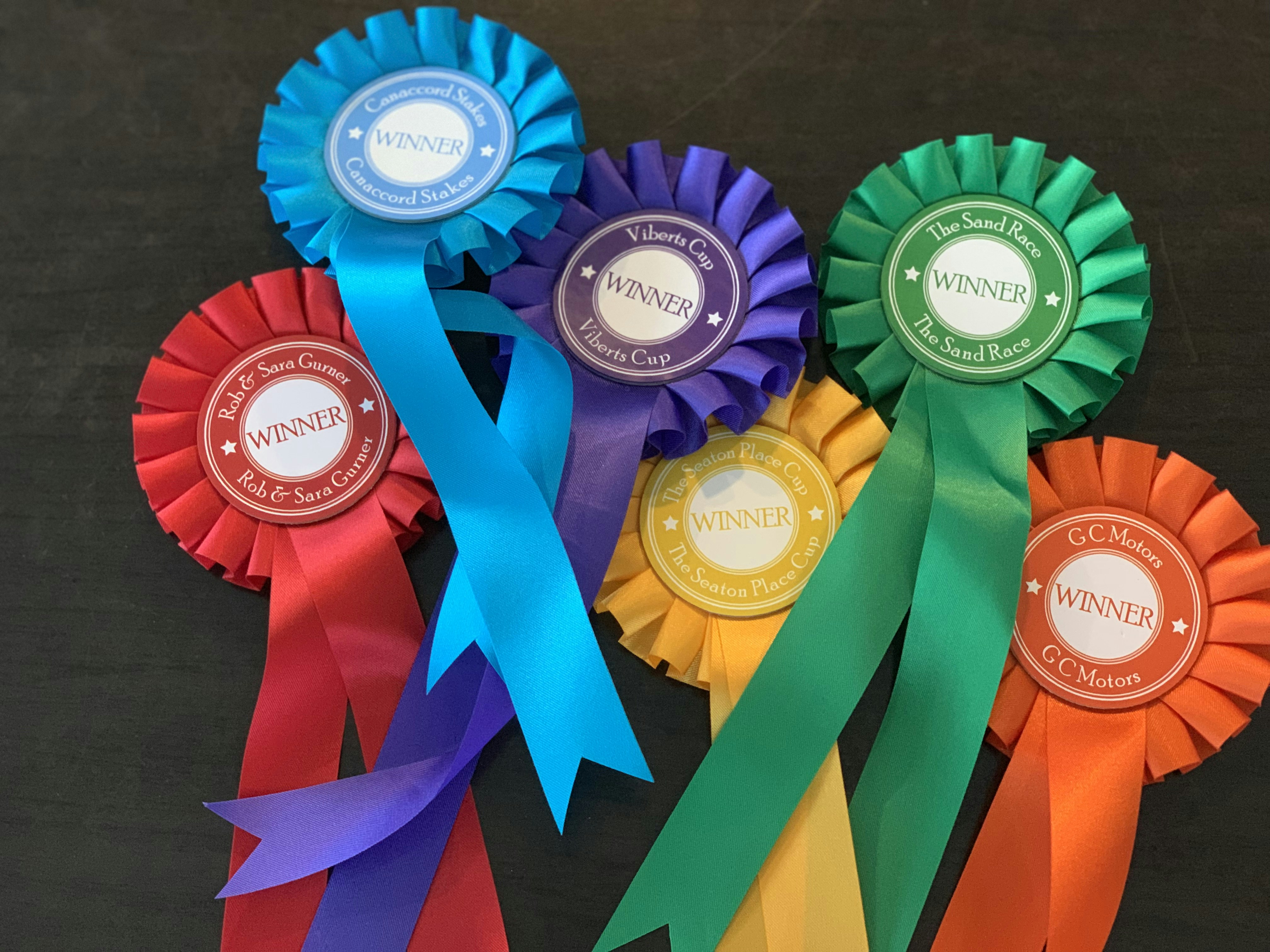 Understanding Reward Hacking: Insights and Iconic Examples