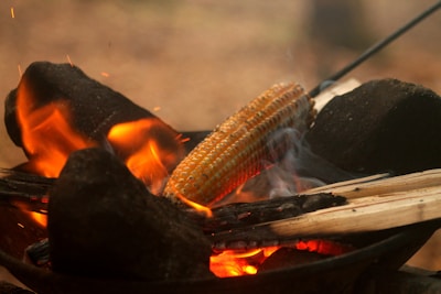 Artisan roasting makhana seeds in a traditional pan over an open flame.