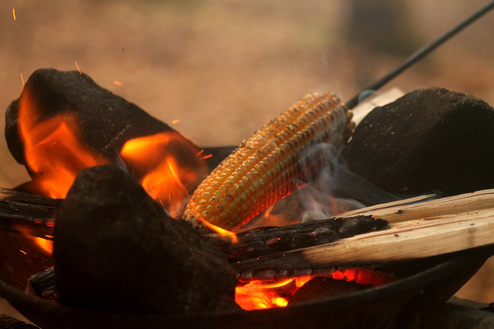 grilled fish on charcoal grill