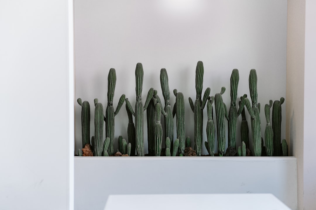 green cactus plant on white table