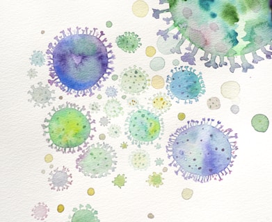 mold testing scottsdale