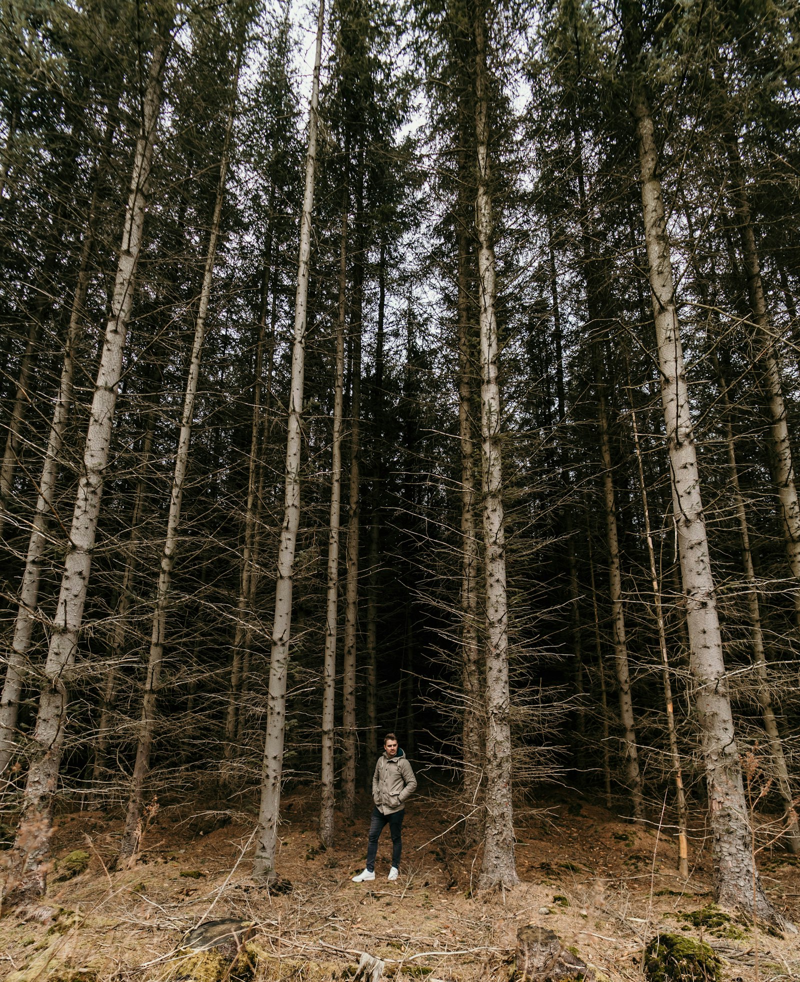 Sony a7 II + Samyang AF 14mm F2.8 FE sample photo. Person in black jacket photography