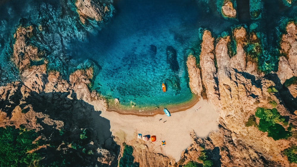 aerial view of people on beach during daytime