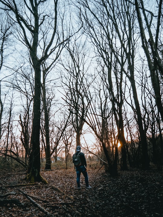 man in black jacket standing in the middle of bare trees during daytime in Kaarst Germany