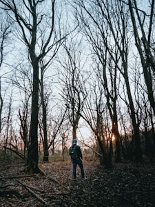 Forest Travel Pack