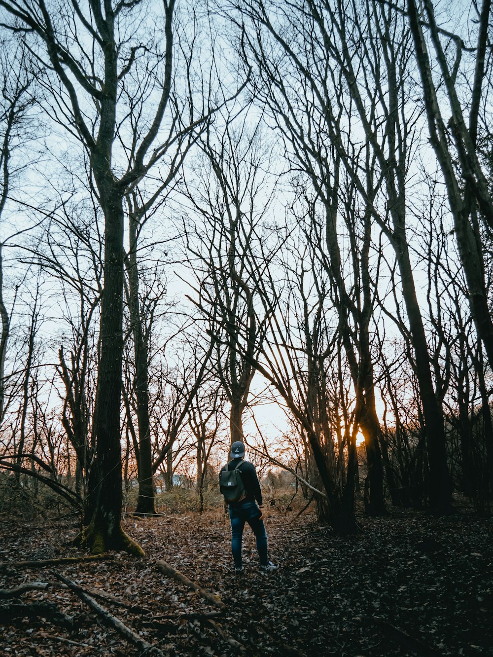 man in black jacket standing in the middle of bare trees during daytime
