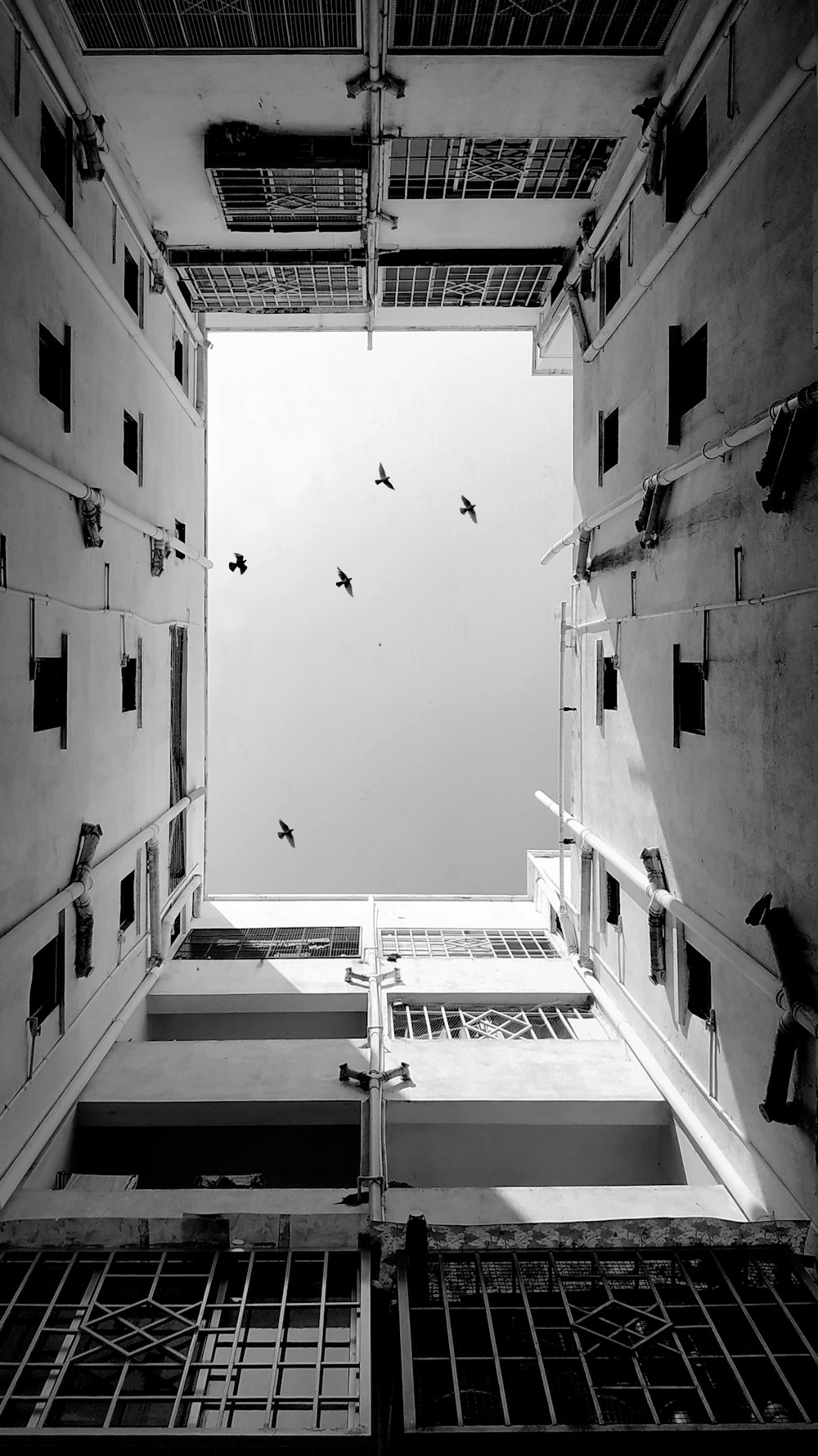 birds flying over the building in grayscale photography