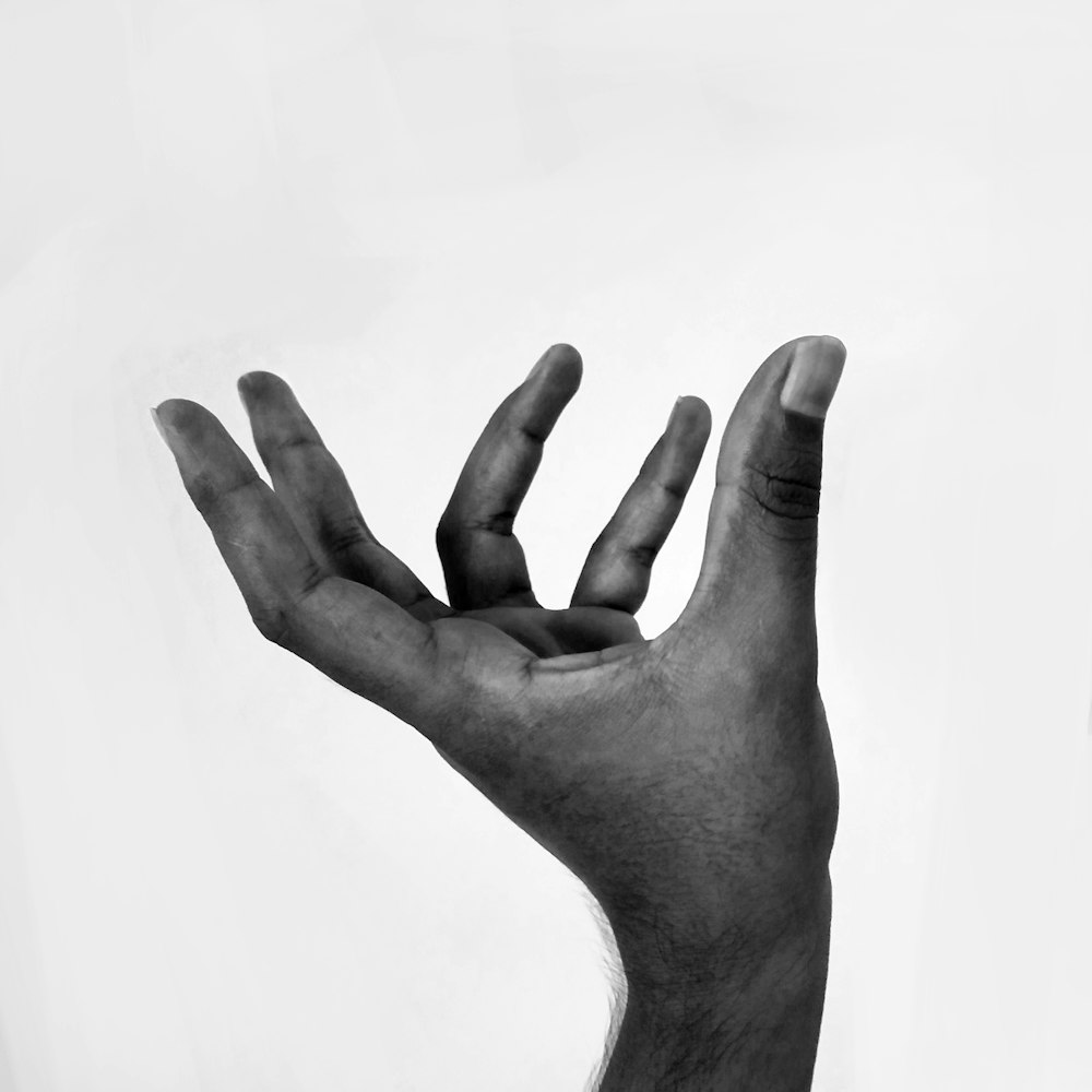 Foto en escala de grises de la mano humana izquierda