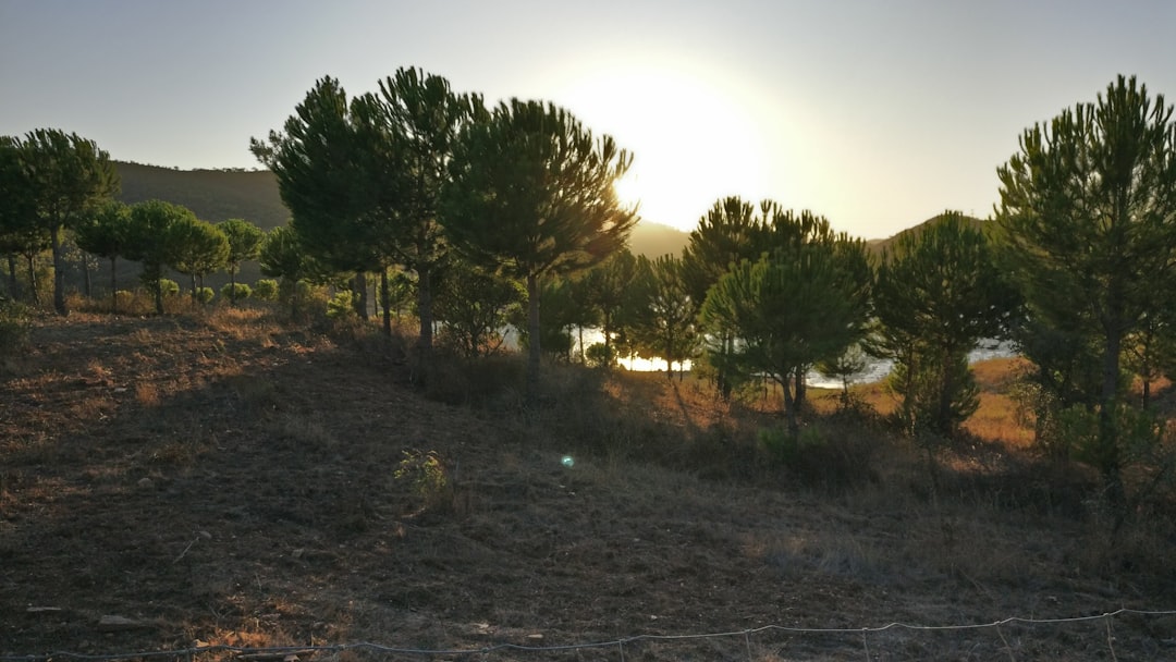 Panorama photo spot São Bartolomeu de Messines Burgau