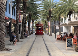 a red trolley car traveling down a street next to palm trees