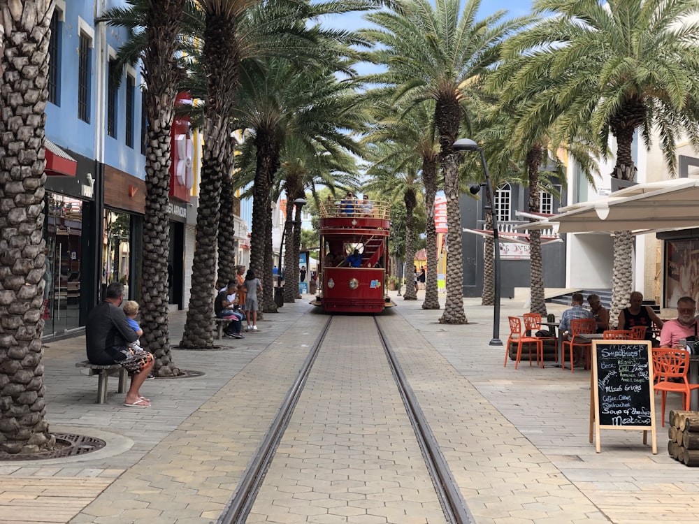 a red trolley car traveling down a street next to palm trees
