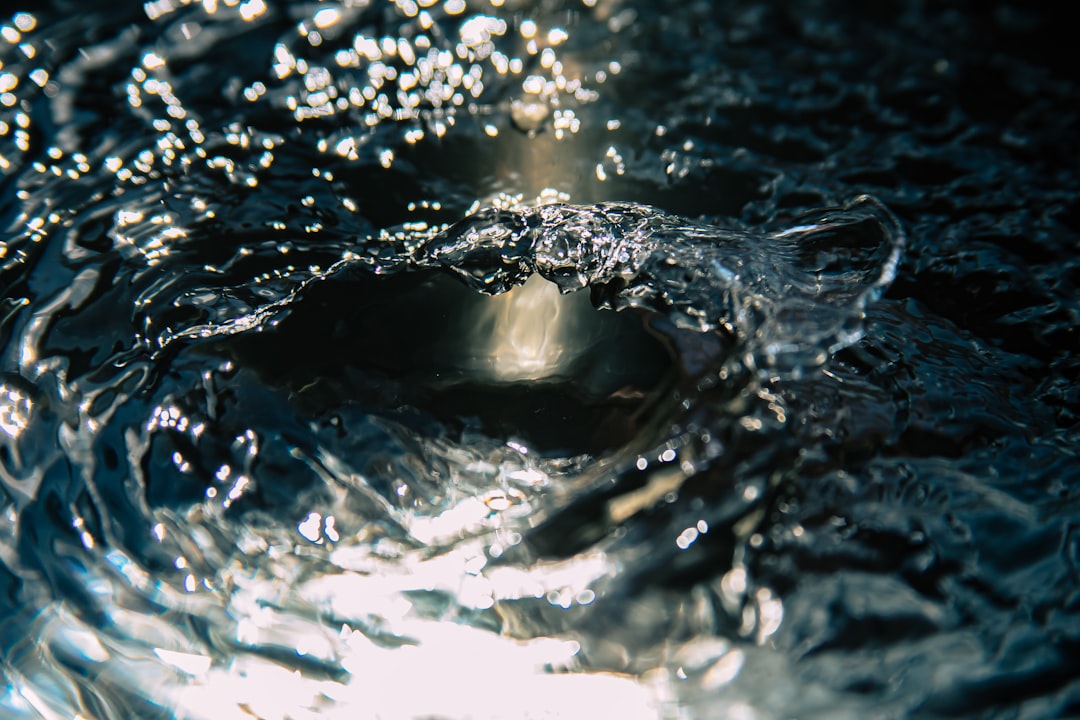 water splash in close up photography