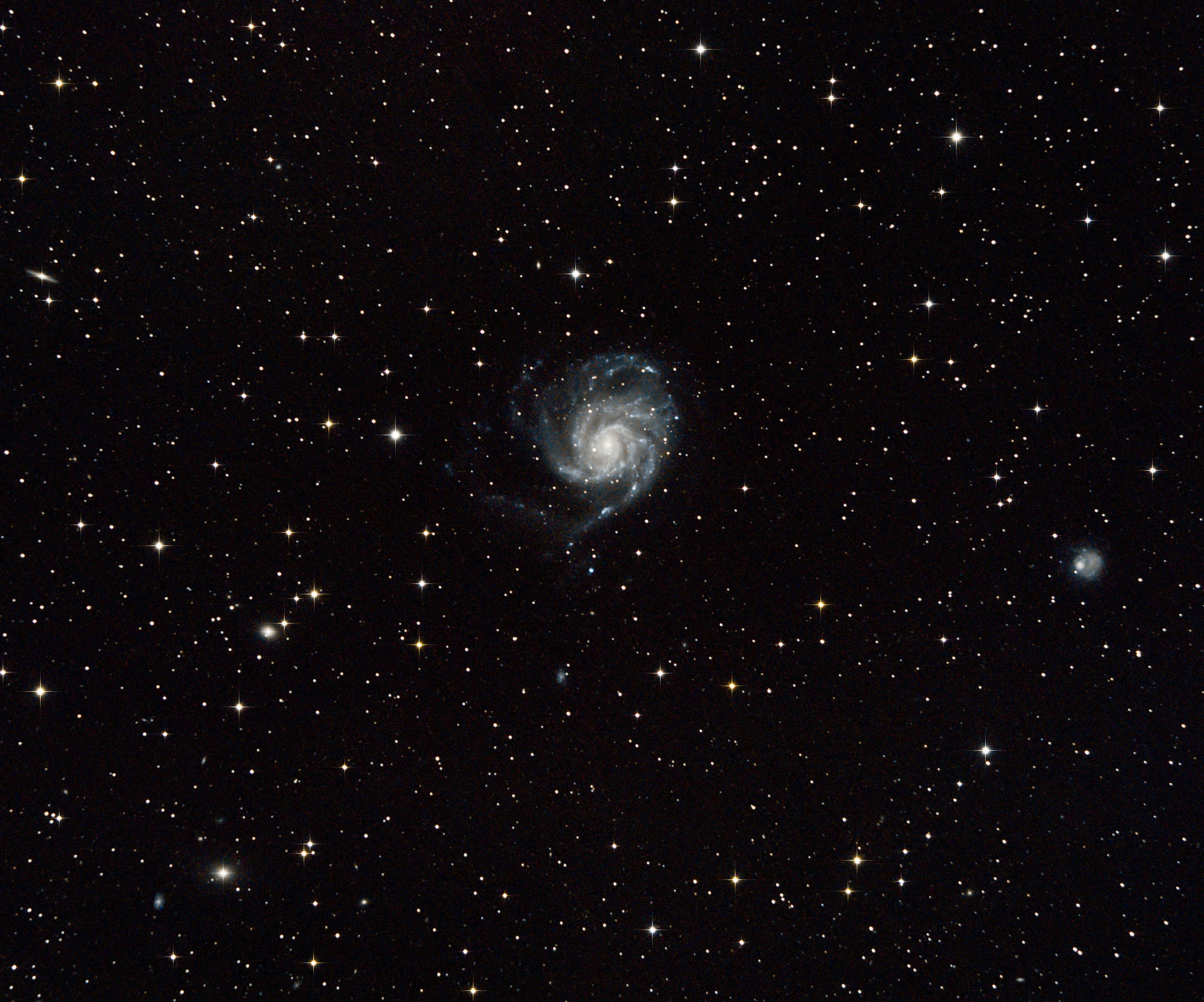 MangoMan Intelligent header image