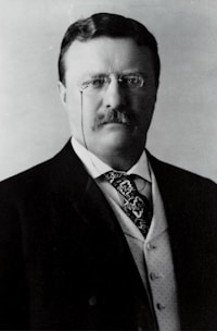 President Theodore Roosevelt