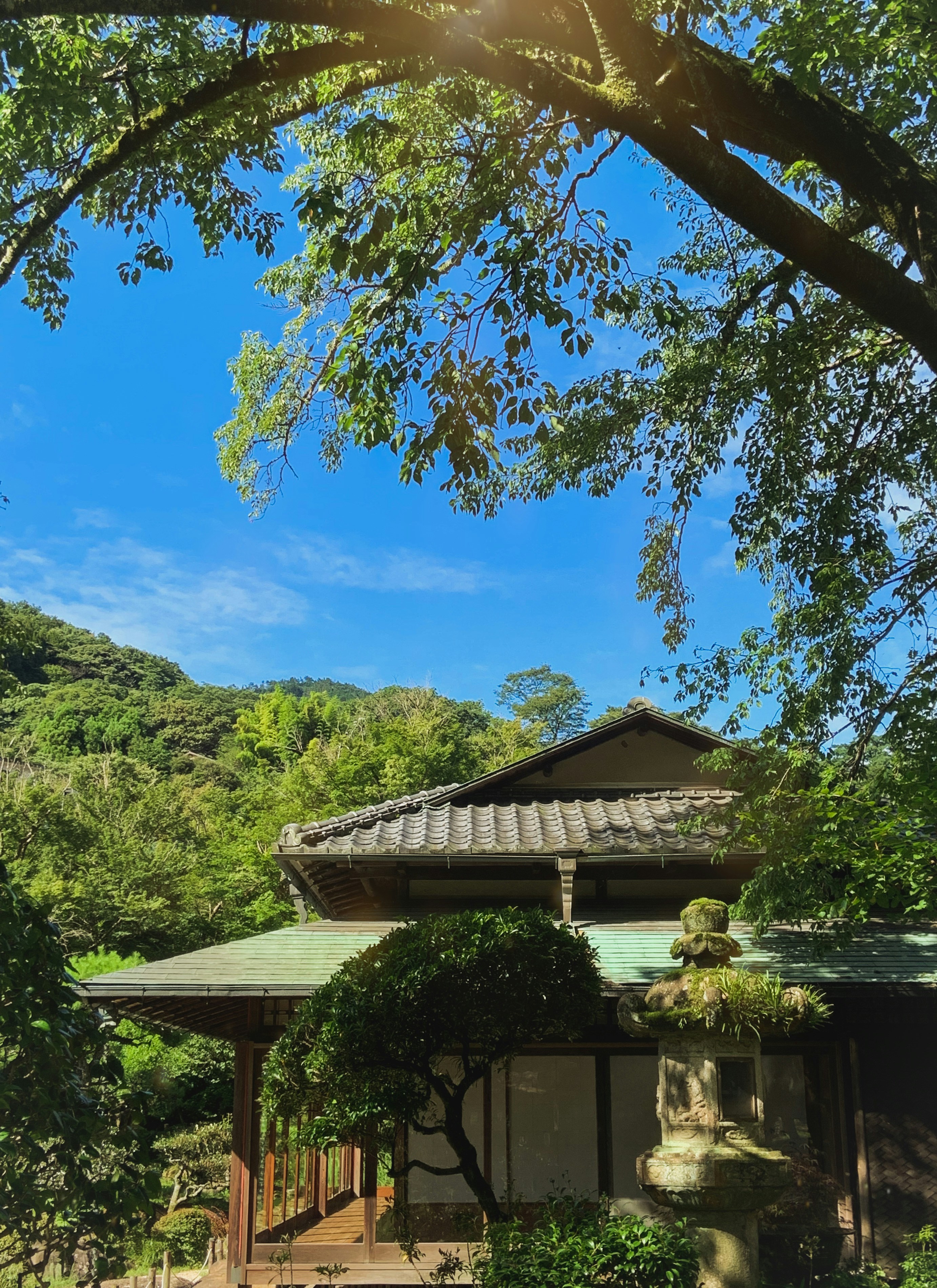 Photo by yuhanchang