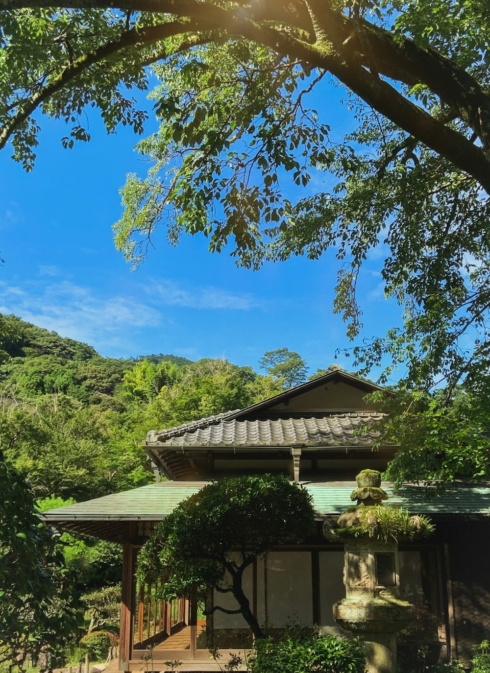 brown and white house near green trees and mountain under blue sky during daytime