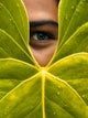womans face covered with green leaves
