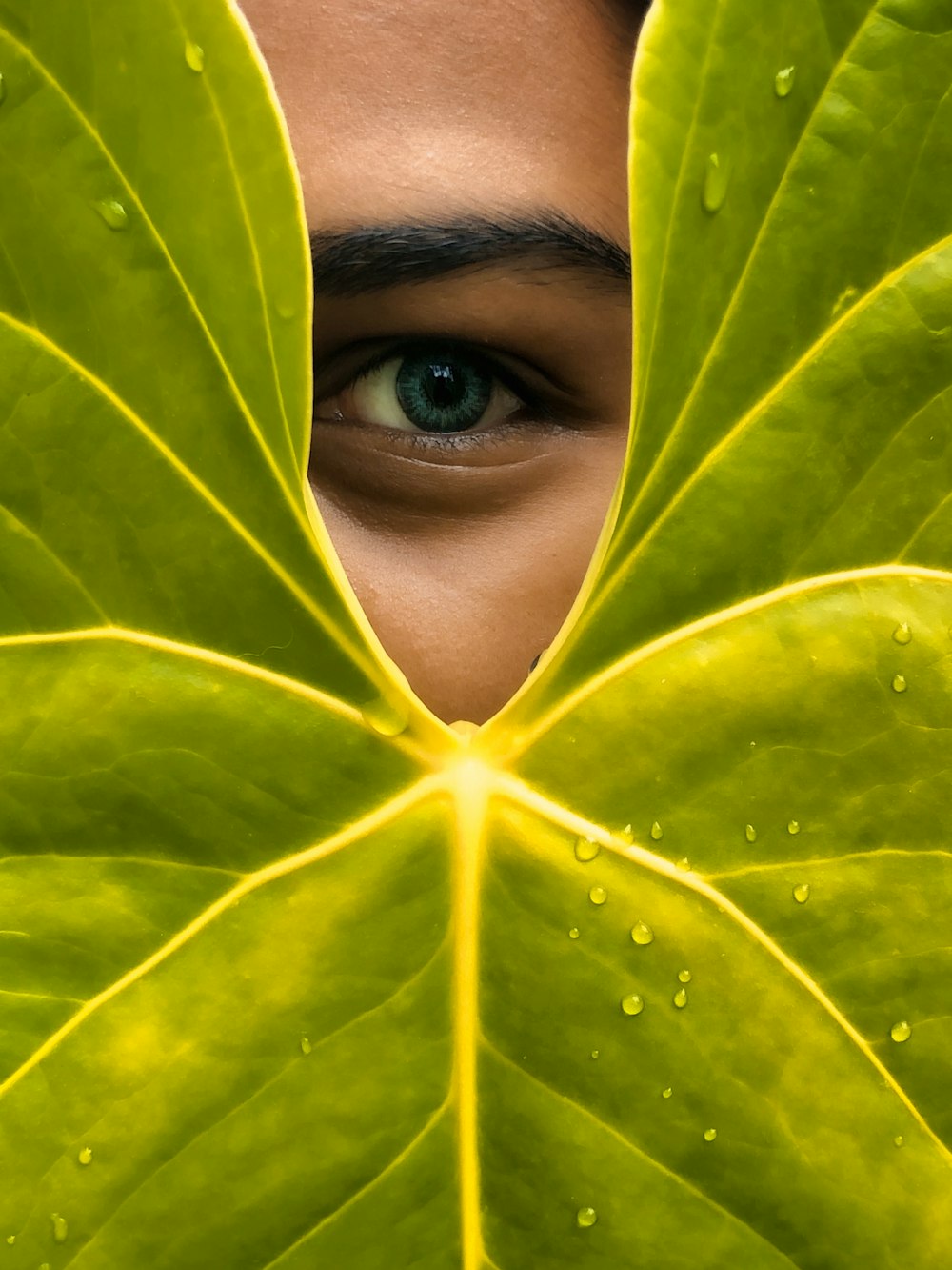 womans face covered with green leaves