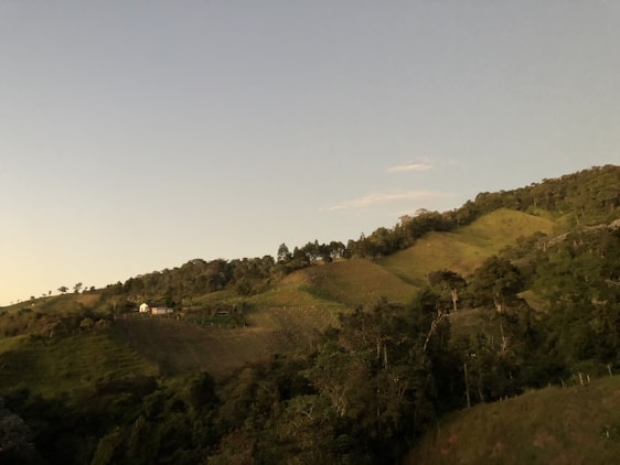 Rolling hills covered with lush green vegetation and scattered trees, with a small house nestled among the landscape under a clear sky.
